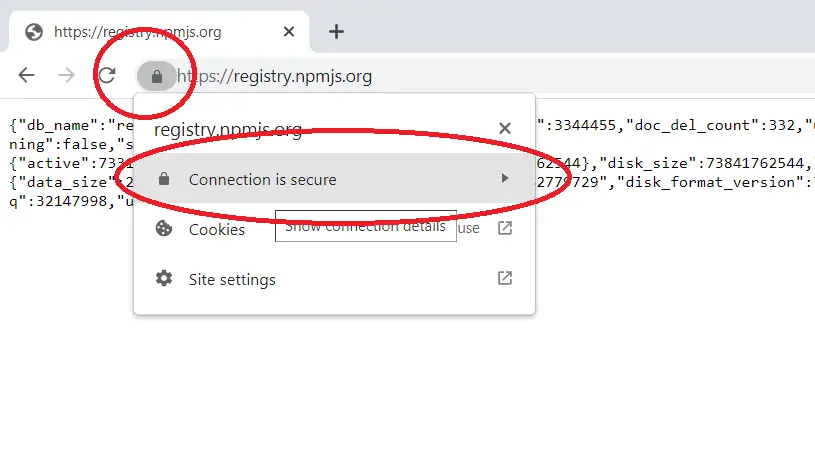 image of how to view ssl certificate